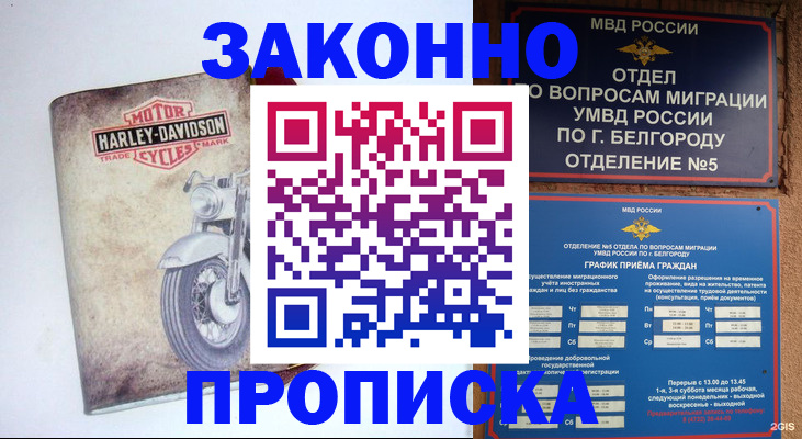 прописка для школы в Катав-Ивановске